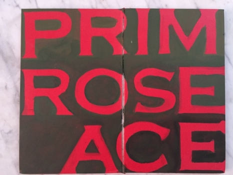 Primrose Ace 2017